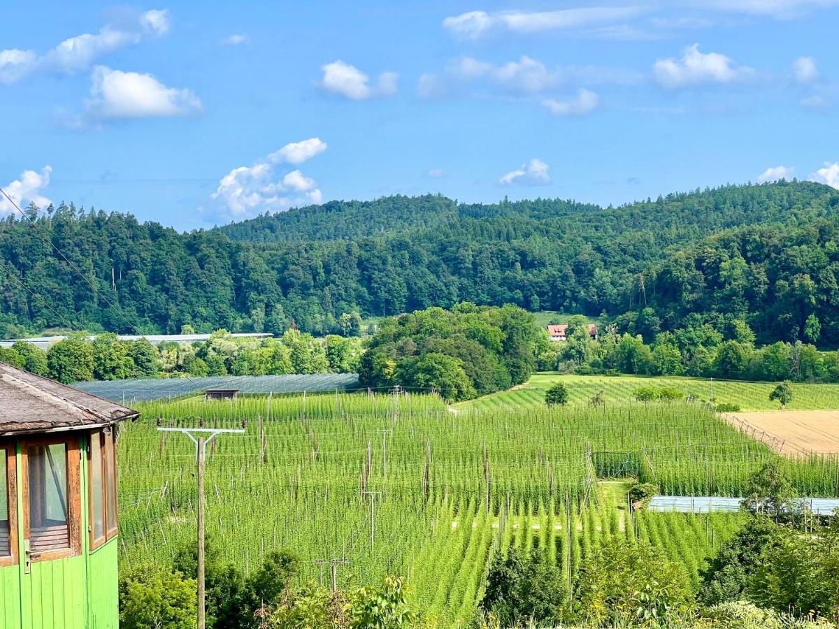 Einzigartiger Panoramablick, Bodensee Und Messe In Der Naehe Теттнанґ Екстер'єр фото