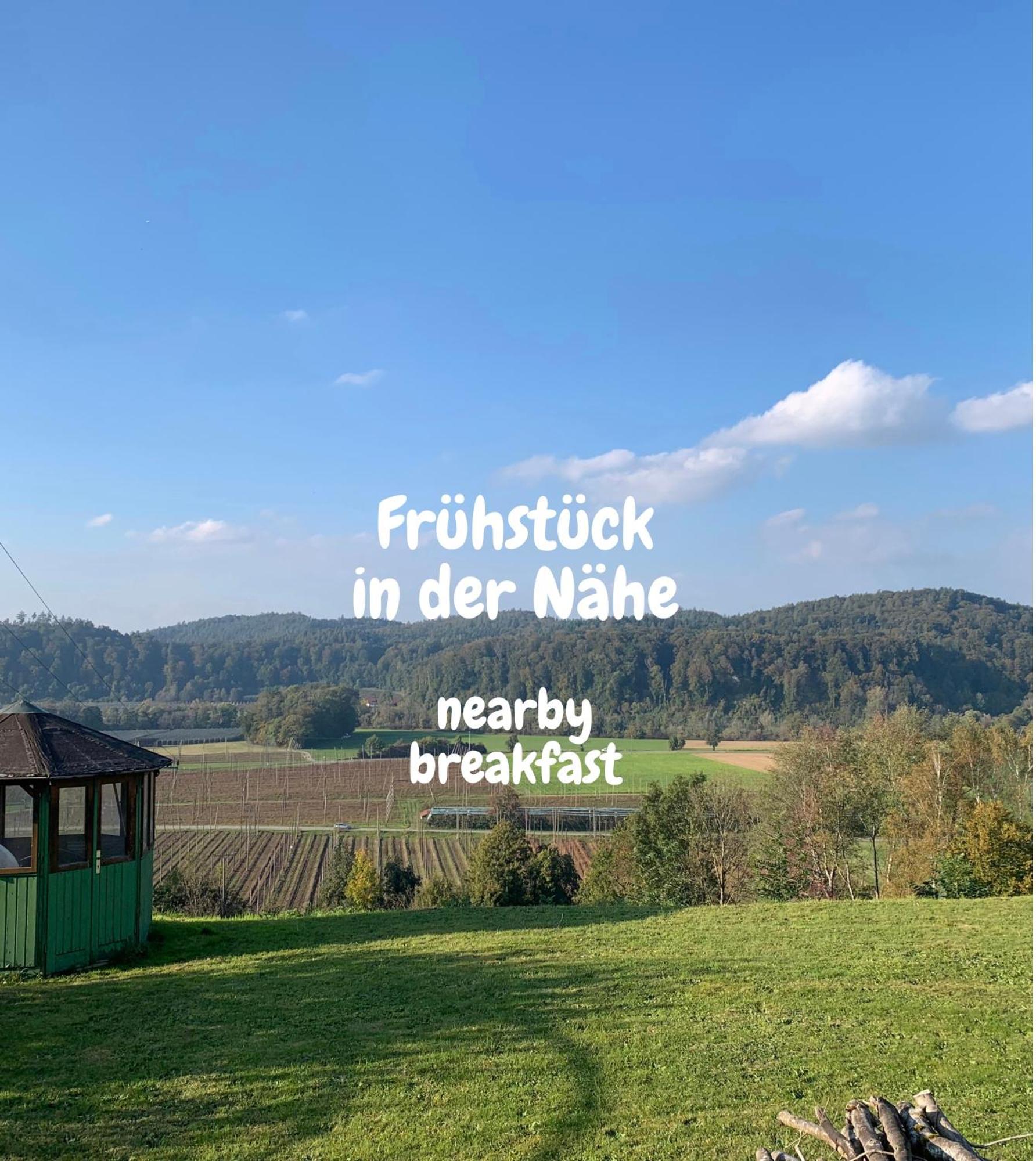 Einzigartiger Panoramablick, Bodensee Und Messe In Der Naehe Теттнанґ Екстер'єр фото